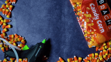 Candy Corn Halloween GIF by Great Big Story
