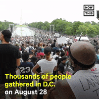 News Protest GIF by NowThis