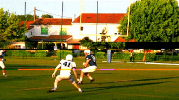 Lions de Bordeaux GIF