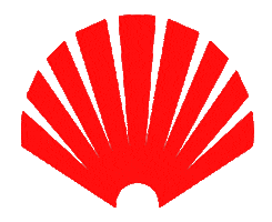 New Amsterdam Logo Sticker by New Amsterdam Surf Association