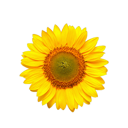 Emekister Sticker by Emek Yag