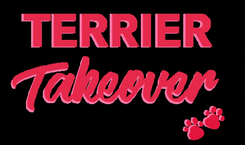 Build Lab Gifs Get The Best Gif On Giphy