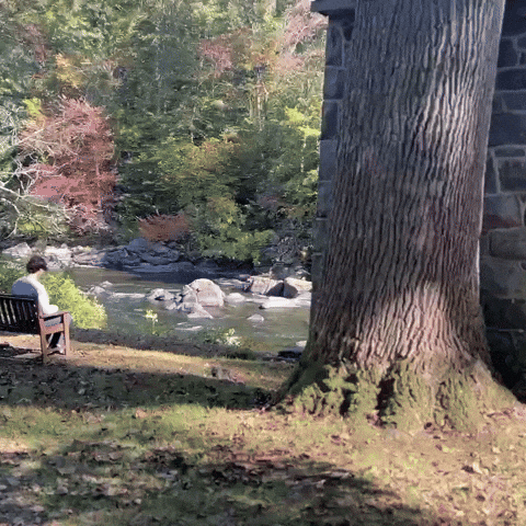 Autumn Bench GIF