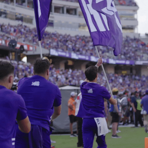 Flags Go Frogs GIF by TCU Football