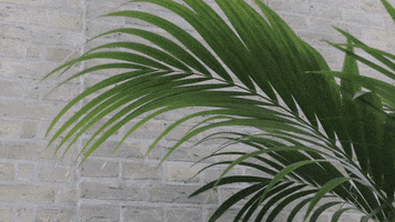 holmensjoetlov GIF