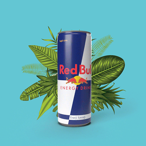 Redbullsummeredition GIF by Red Bull