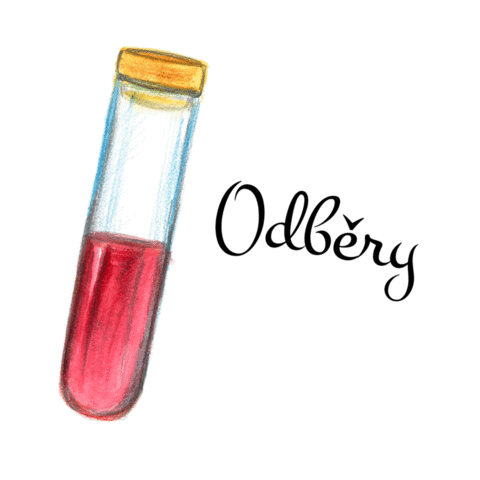 BUDE NÁS VÍC Sticker