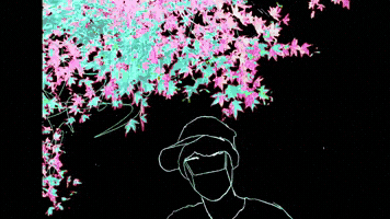 Shittyboys GIF