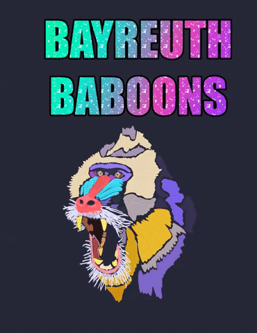 K2Valente baboon bayreuth baboons bayreuthbaboons GIF