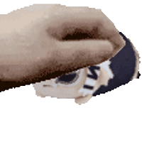 Pet Sticker