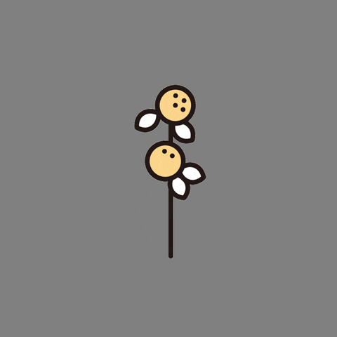レシピスト GIFs , Get the best GIF on GIPHY