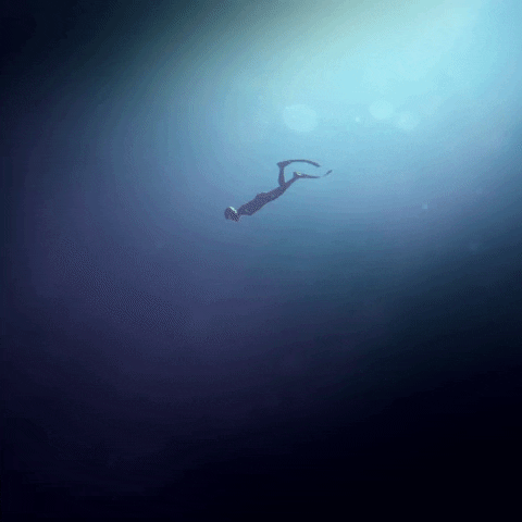 Ocean Diving GIF by Beyond Blue