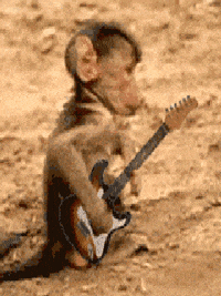gifs animados  the best gifs - download gifs