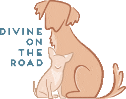 divineontheroad Sticker