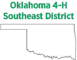Clover 4H Sticker by Oklahoma 4-H