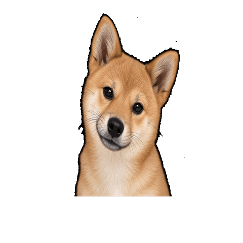 Shibainu Sticker by TwinOaksCapital