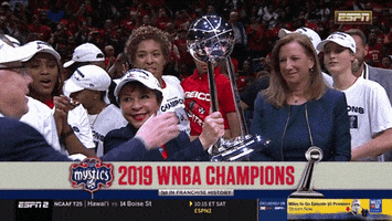 Wnba Playoffs GIF by WNBA