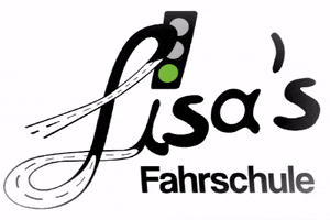 Car Fahrschule GIF by Lisa