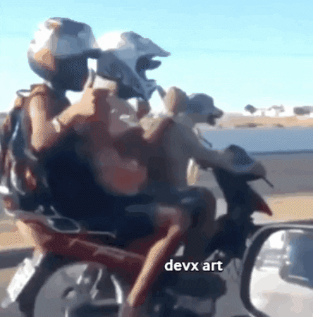 Dog Motorcycle GIF by DevX Art