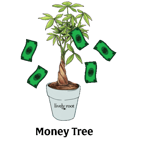 Money Good Luck Sticker by Lively Root for iOS & Android | GIPHY