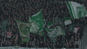 fans flag GIF by SV Werder Bremen