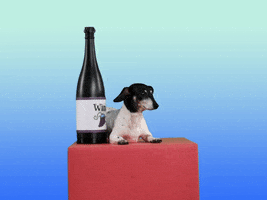 Pepper Doxie GIF by Originals