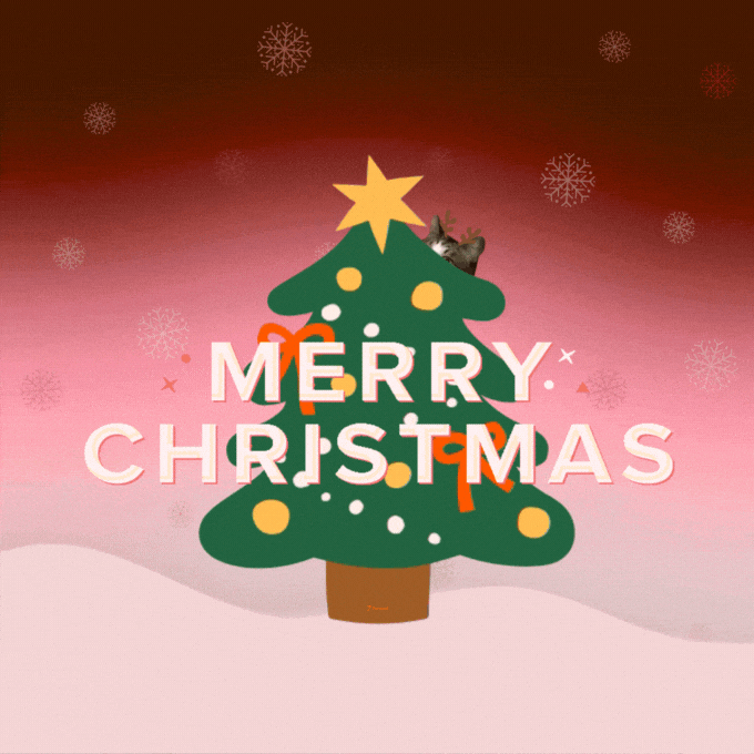 Christmas Eve Happy Holidays GIF by Furrend