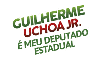 Politica Voto Sticker by Guilherme Uchoa Junior