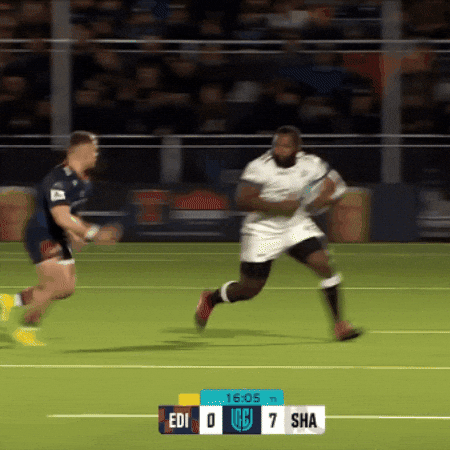 South Africa Ox GIF by Sharks Rugby