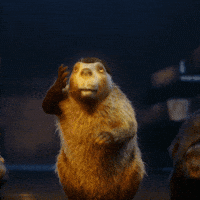 200.gif
