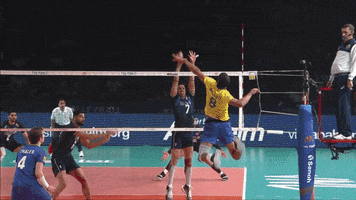 Score Block GIF by Volleyball World