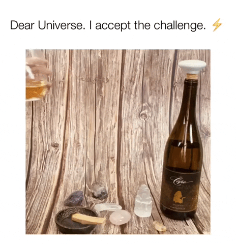 LeahVanDale wine drinks universe happy hour GIF