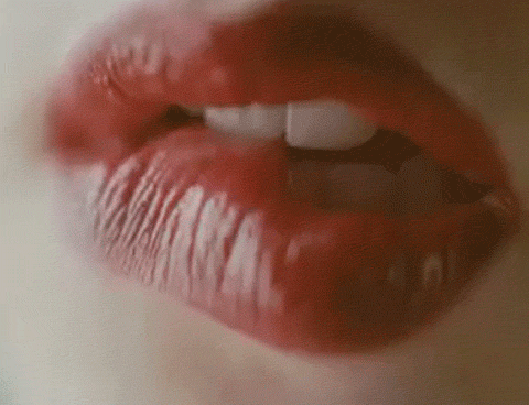 giphy.gif