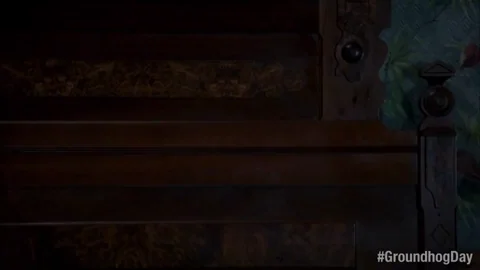 Bill Murray Im Here GIF by Groundhog Day