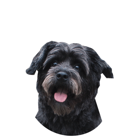 Bali Sticker by EmPlanta