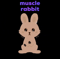 Muscle Rabbit GIF