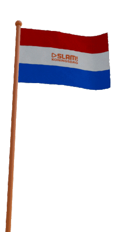 Festival Radio Sticker by SLAM! Koningsdag