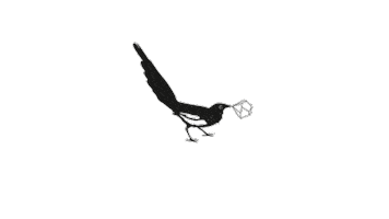 Views Sticker