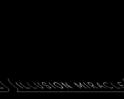 Illusionmiracle GIF