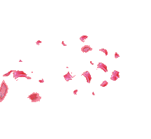 San Isidro Sticker by Visita Madrid