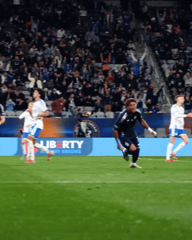Sdfc GIF by San Diego FC