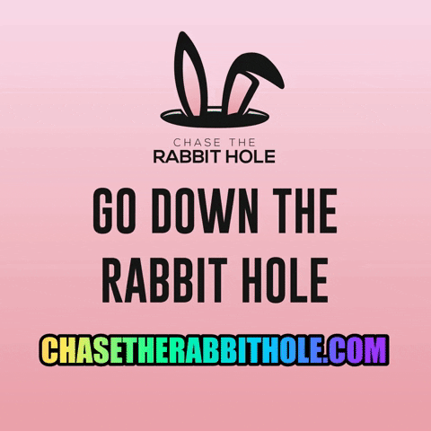 chasetherabbithole rabbit ideas hole information GIF
