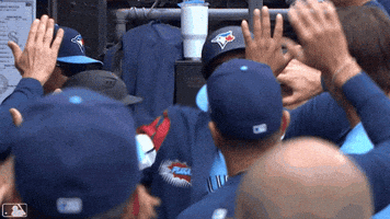 High Five Home Run GIF by Toronto Blue Jays
