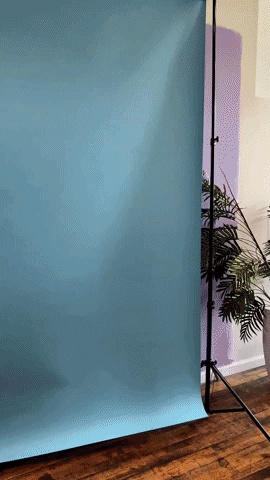 GIF by Helen & Gertrude