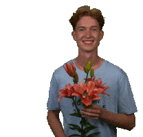 Flower Sticker by LOVE FOR LILIES