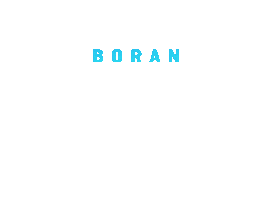 Teamboran Sticker by Crossfit Boran