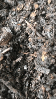 GIF by Common Ground Compost