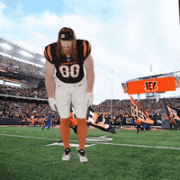 Football Sport GIF by Bengals