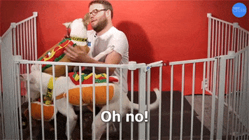 Oh No GIF by BuzzFeed