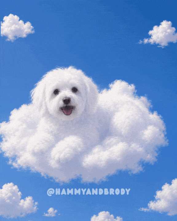 Vibing Good Vibes GIF by HammyandBrody